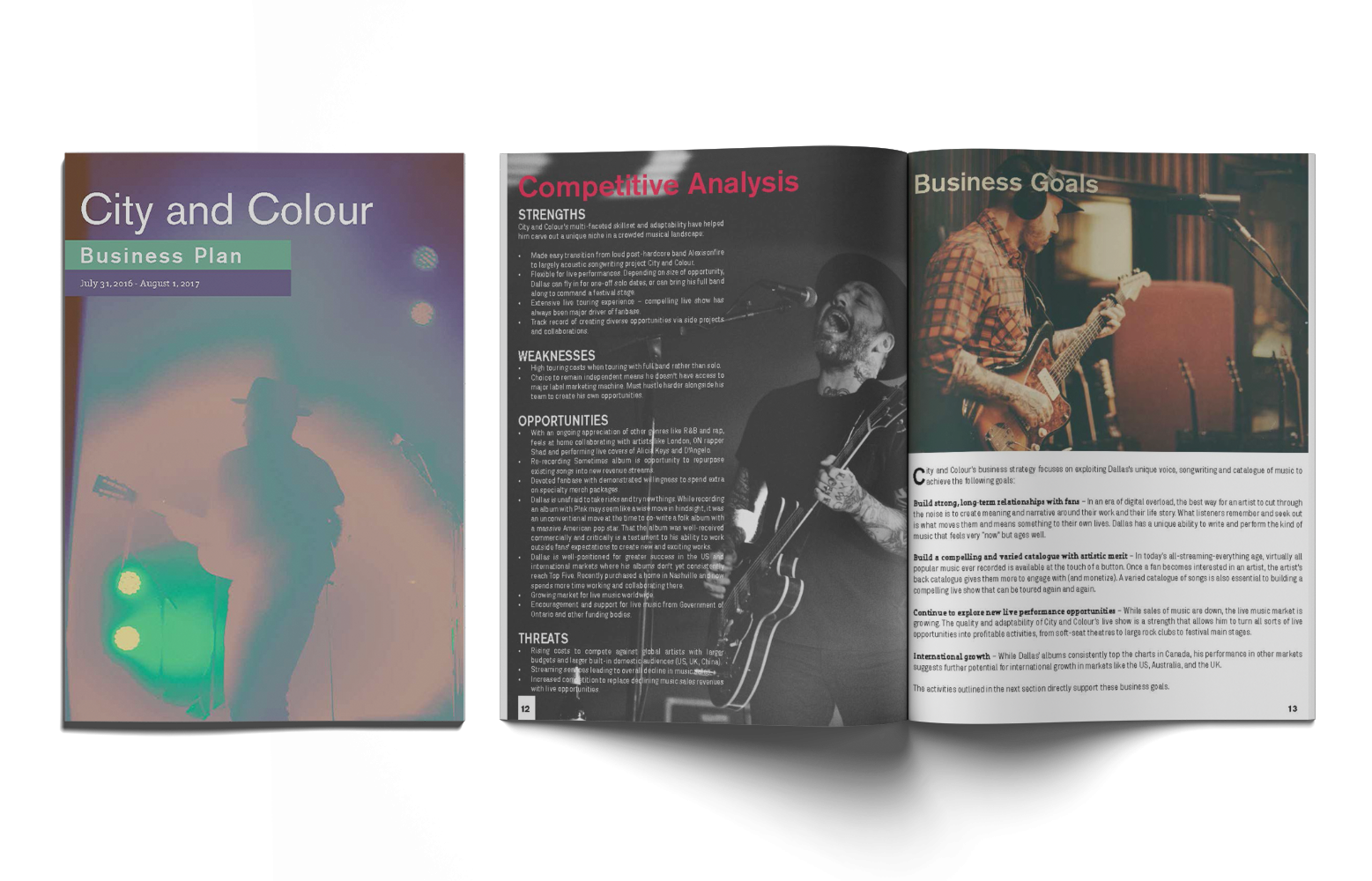 City and Colour - Business Plan Design for Grant Application