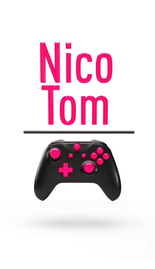 NicoTom Developers - Company Logo 2019 Plain